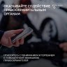 органы.jpg